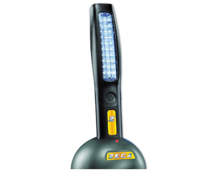 Baladeuse a leds rechargeable